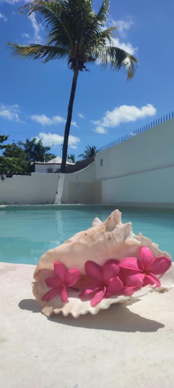 Hotel Coral Cancún Esterno foto